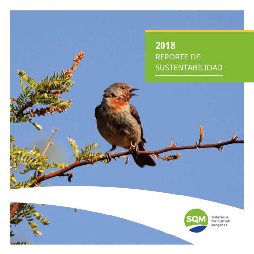 Portada Reporte De Sustentabilidad 2018