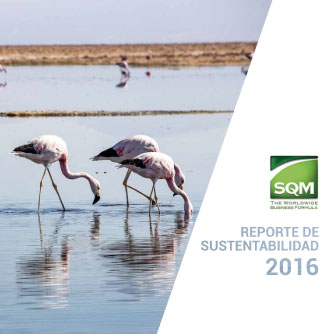 Reporte Sustentabilidad 2016 Es
