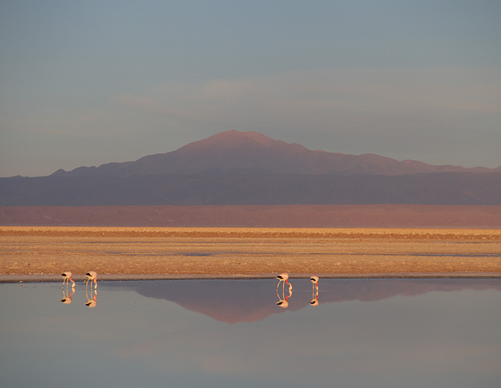 In the image you can see a highland lagoon with two flamingos