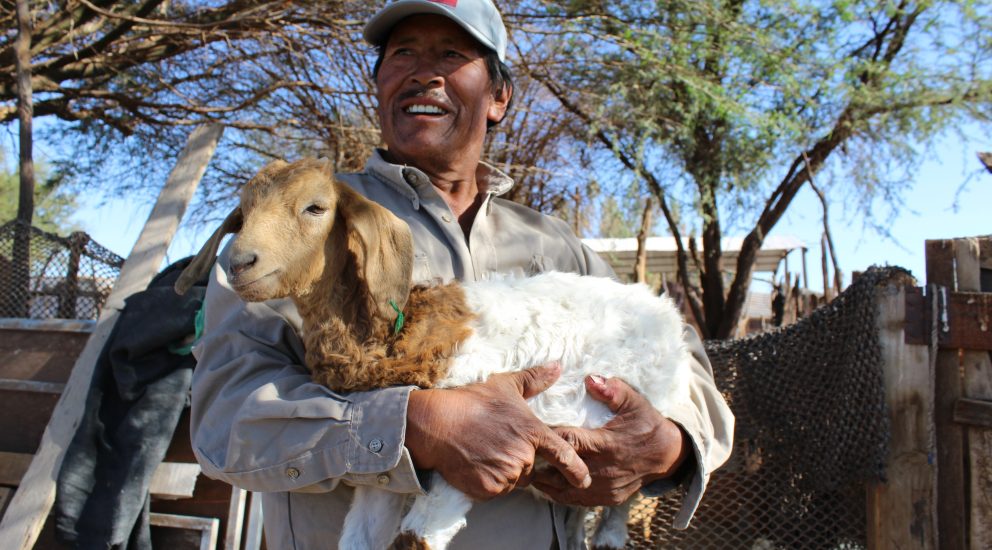Bild eines Mannes mit einer Ziege im Arm