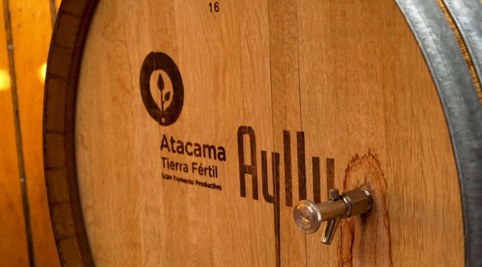 Atacama fertile land vintner barrel