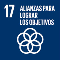 목표 달성을 위한 SDG 17 파트너십