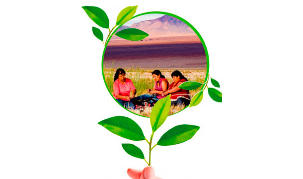 Logo de sustentabilidad
