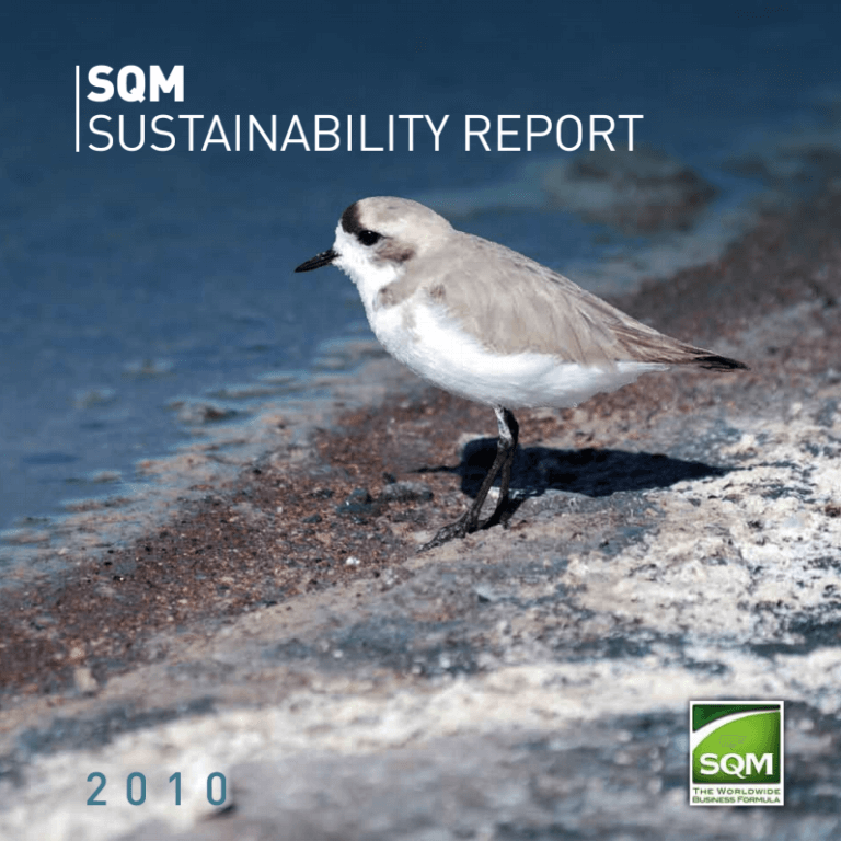 지속 가능성 보고서 2010 Esp
