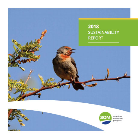 Umschlag Nachhaltigkeitsbericht 2018